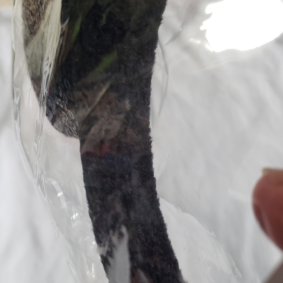 Minnie Mouse Ears Pink Sequined Headband - Picture 3 of 9